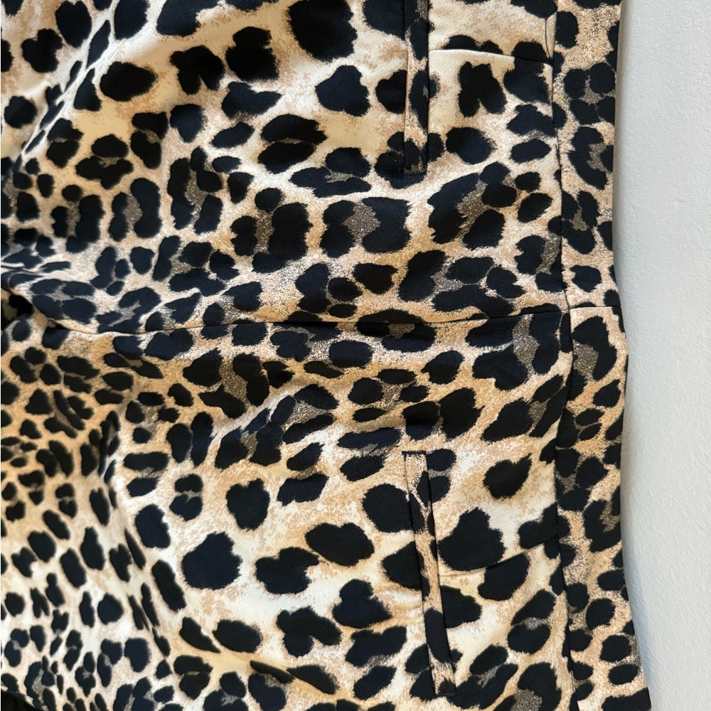 Zara leapard pants